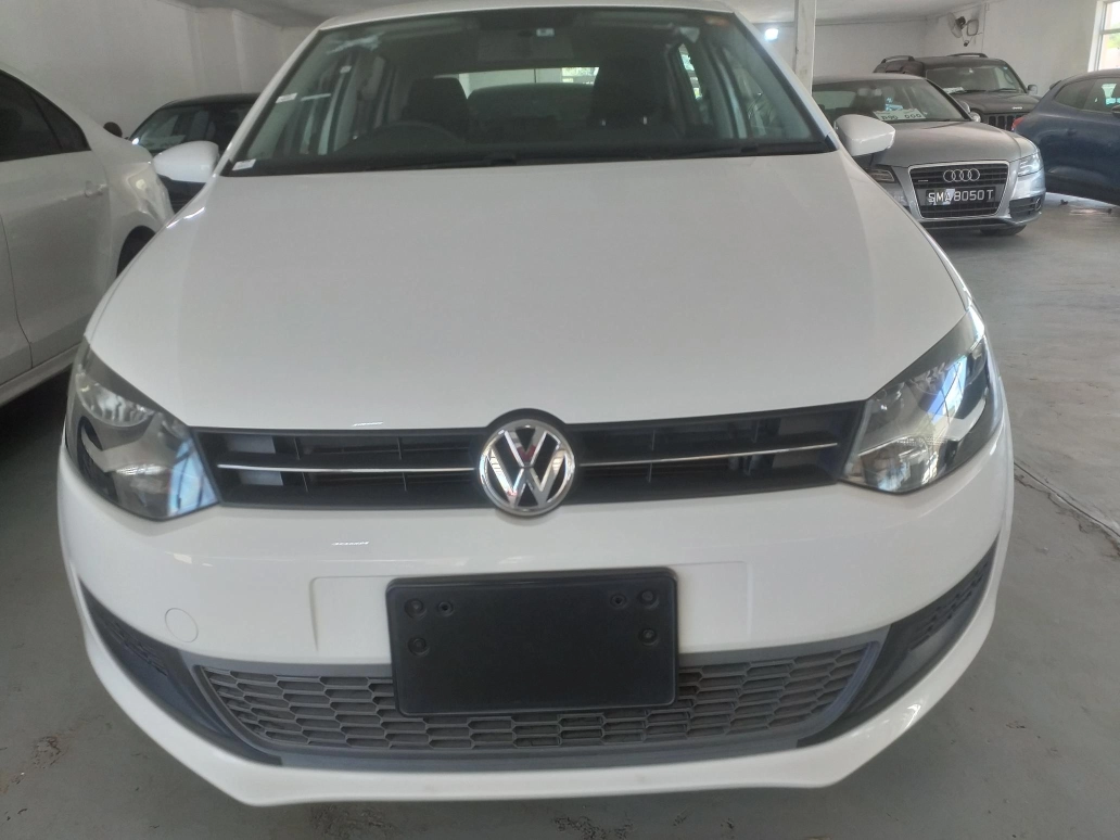 POLO TSI BLUEMOTION in Botswana