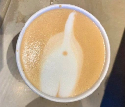 Catcoffees in Botswana