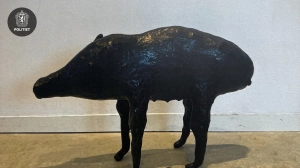 applesor for sale in Botswana - 1