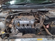 Runx for sale in Botswana - 4