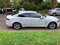  Used Jaguar XF for sale in  - 1