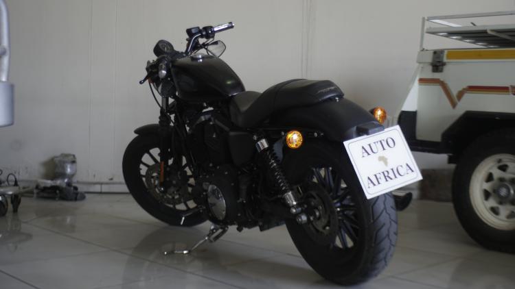 Harley-Davidson Sport XL Iron in 
