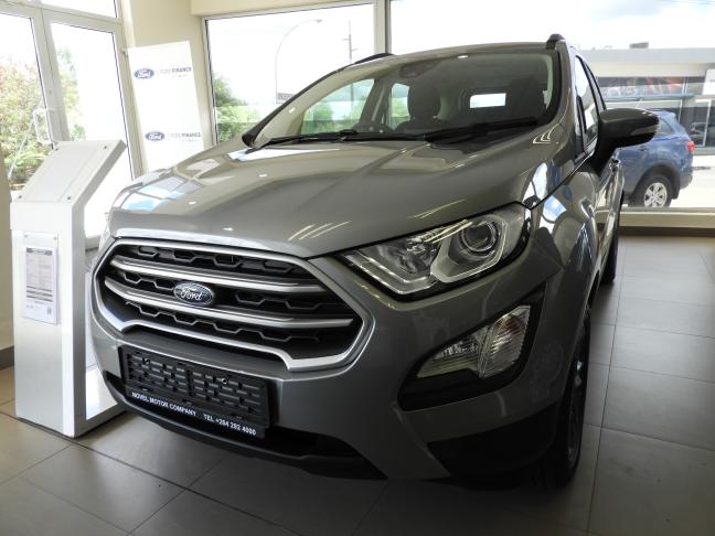 New Ford EcoSport in 