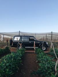 Toyota Land Cruiser for sale in Botswana - 10