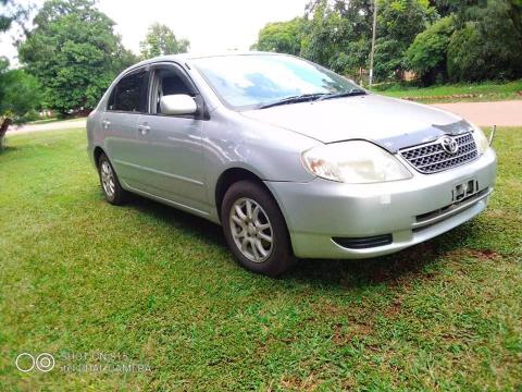 Used Toyota Corolla Used Toyota Corolla in Zimbabwe